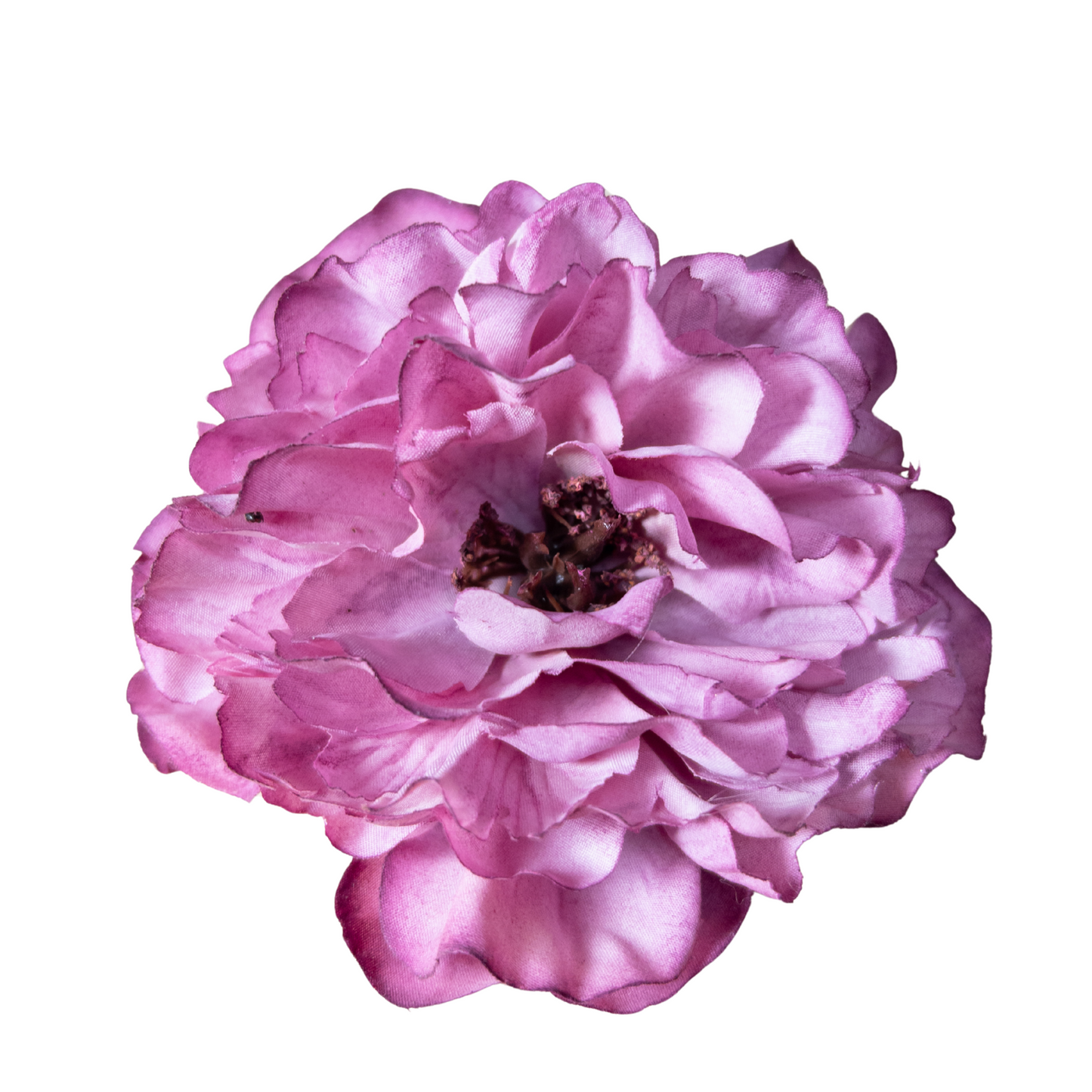 Peonia Rizada
