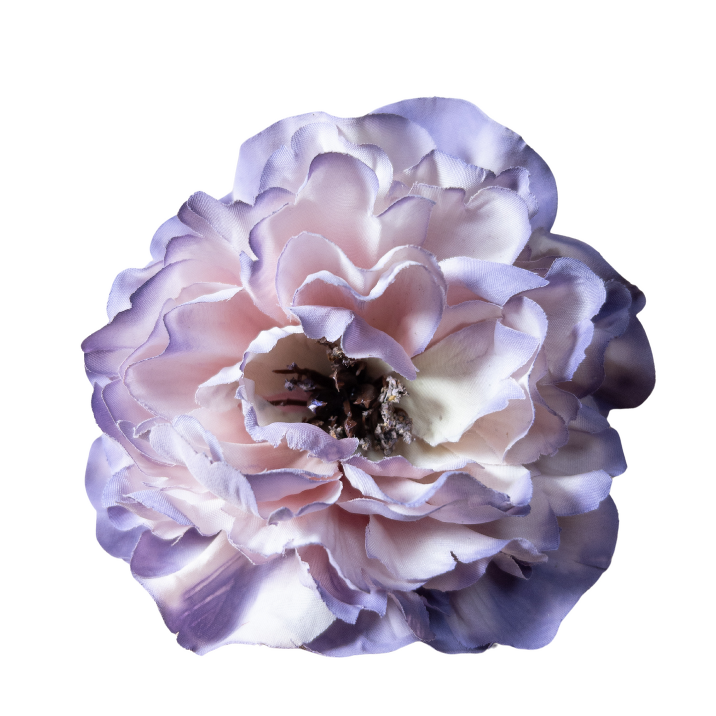 Peonia Rizada