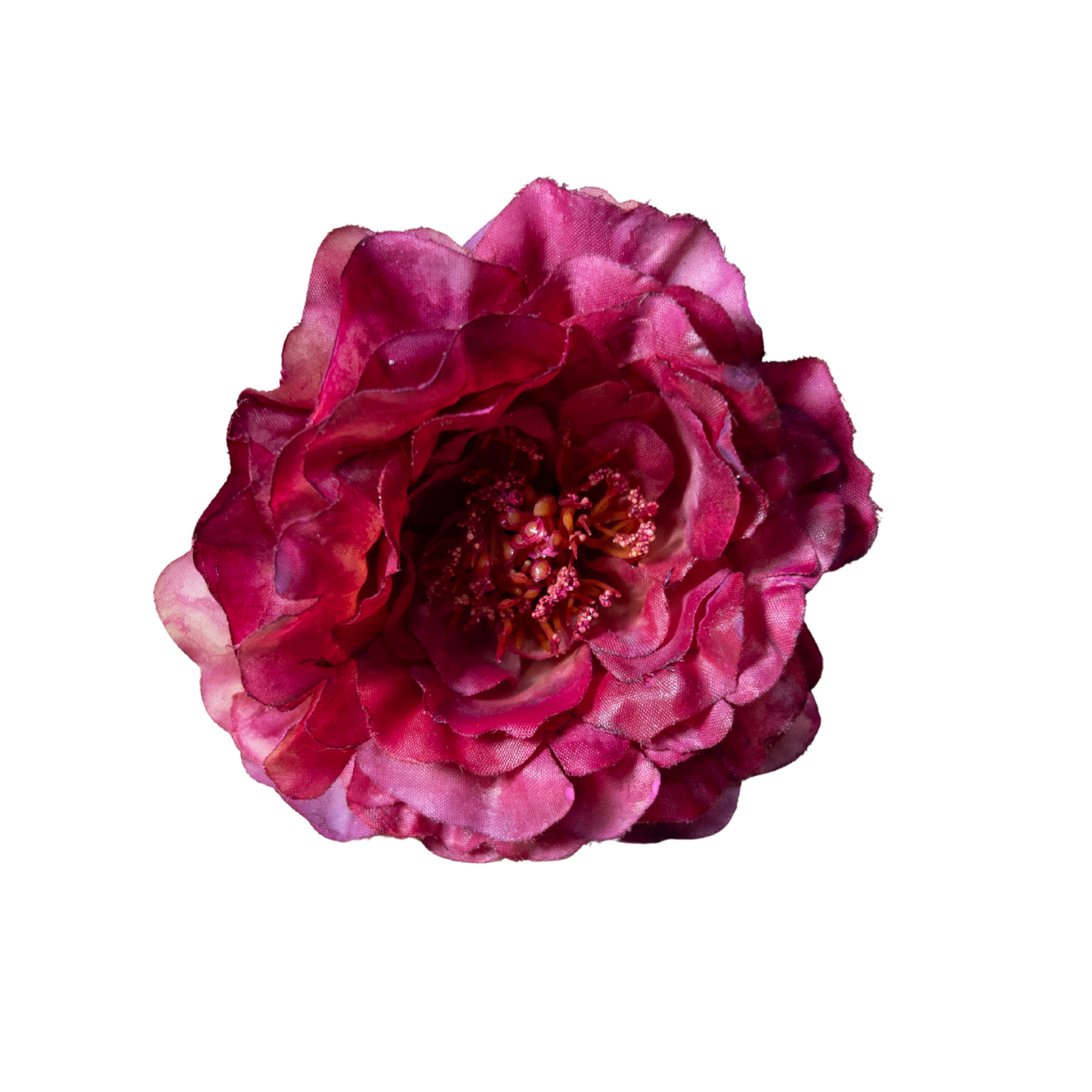 Peonia Pequeña