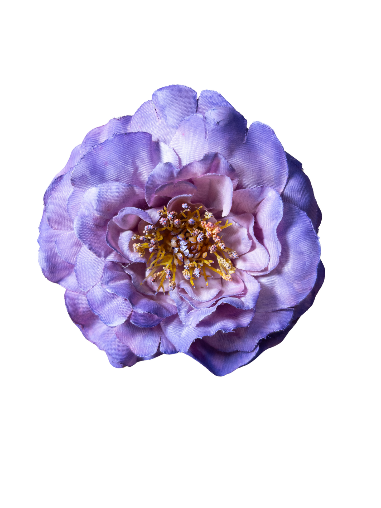 Peonia Pequeña