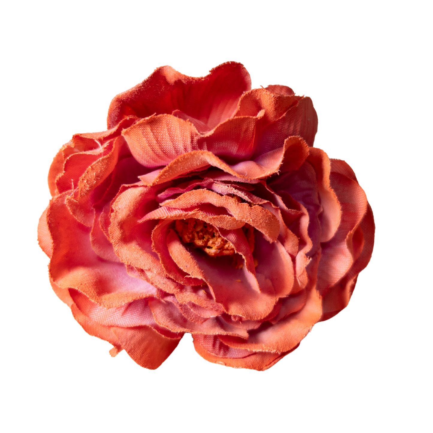 Peonia Pequeña