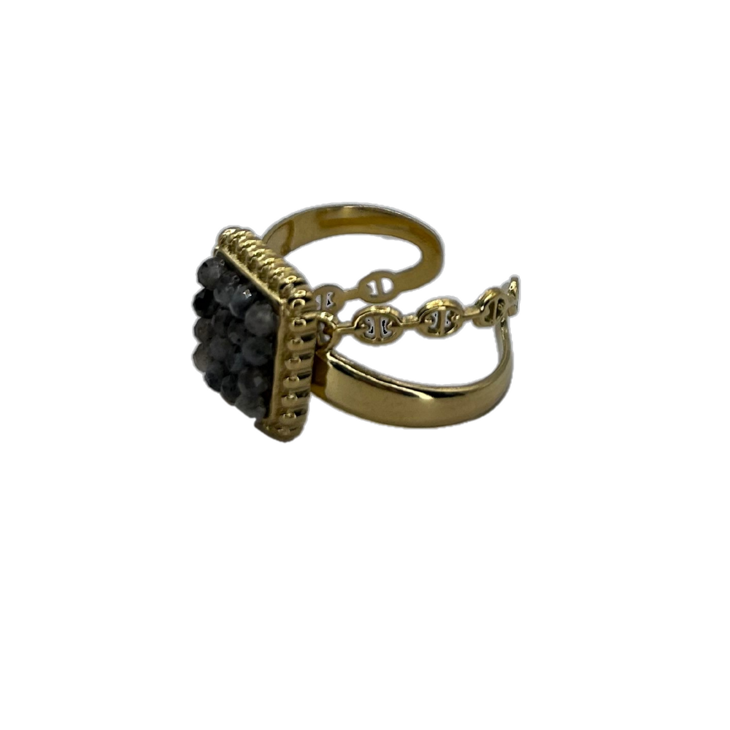 Anillo Migra
