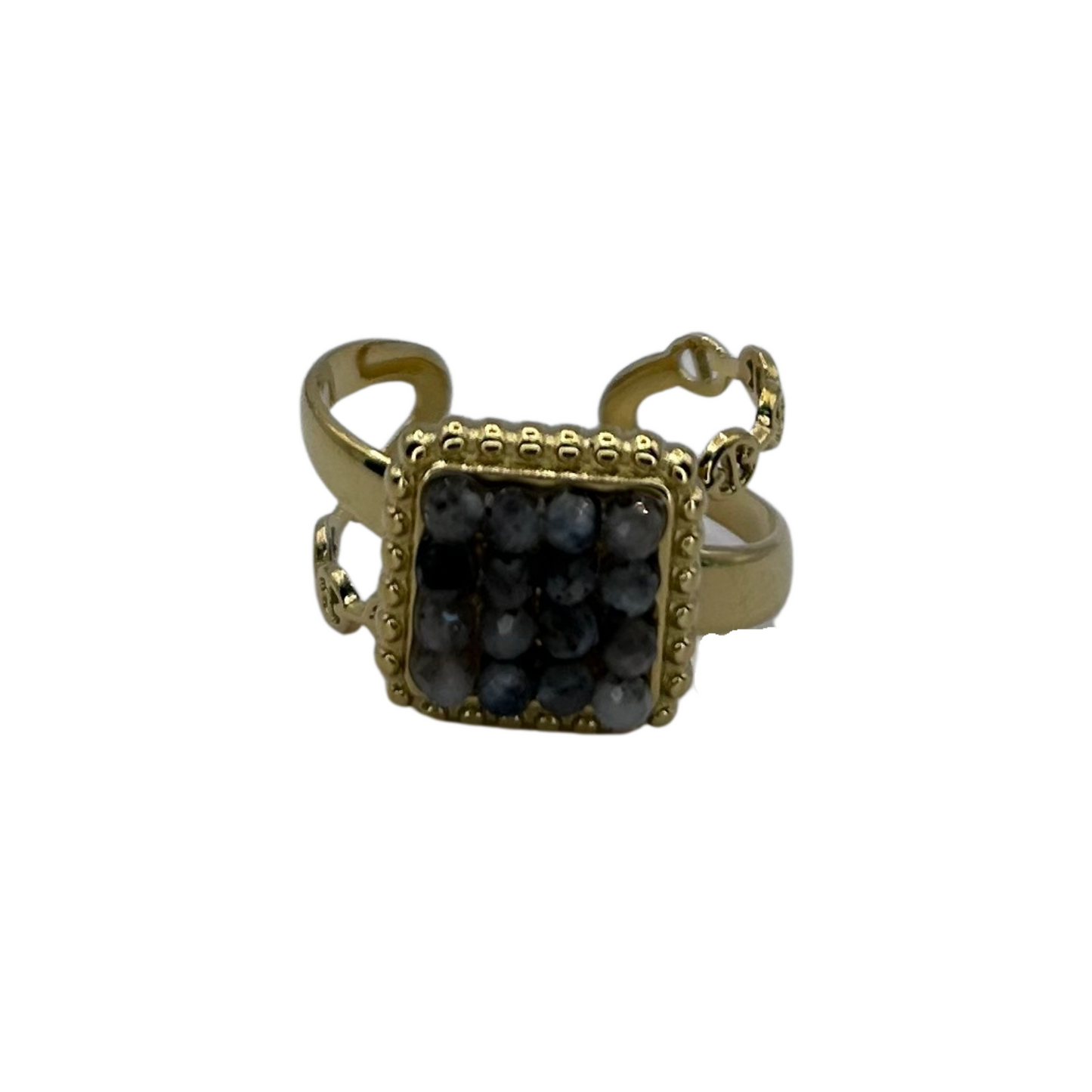 Anillo Migra