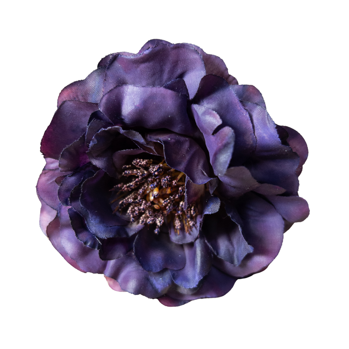 Peonia Pequeña