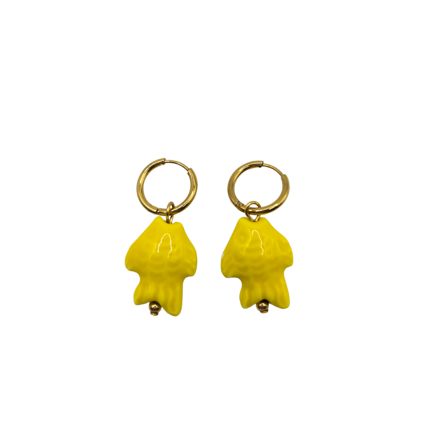 Aretes Pez Don Nado