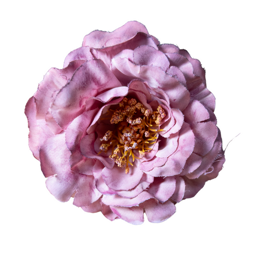 Peonia Pequeña